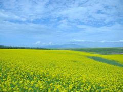 -扁都口生态休闲旅游区