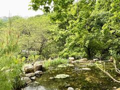 -广州市石门国家森林公园