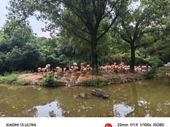 -上海野生动物园