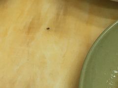 -享口福饺子馆(民旺园店)