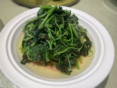 -苔圣园酒家(尊木汇国际艺术广场店)