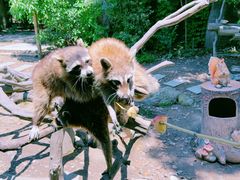 -宁波野生动物园