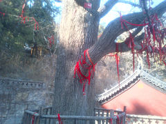 -牛郎织女景区
