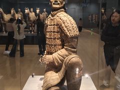 -秦始皇帝陵博物院-丽山园