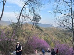 -天台山赤城山景区