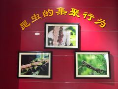-上海昆虫博物馆