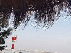 -北海金海湾红树林生态旅游区