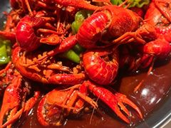 -红盔甲·小龙虾(天钥桥店)