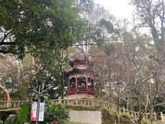-乌山风景区