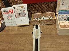 -和它·交个朋友·狗咖猫咖(爱琴海店)