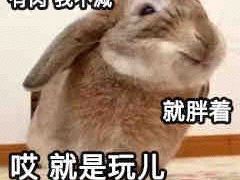 -代数学家algebraist(仙林金鹰店)