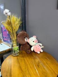 -CICI街舞专业培训