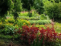 -国家植物园南园