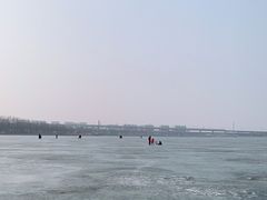 -丁香湖公园