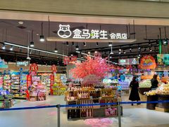 -盒马鲜生(岭南新世界店)