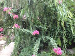 -同济大学(嘉定校区)