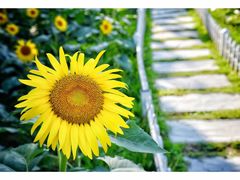 -廊坊文化艺术中心