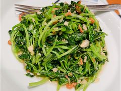 金钩海米鸡毛菜-新海渔港·胶东海鲜家常菜·家宴(奥体中心店)