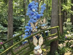 -共青国家森林公园-售票处