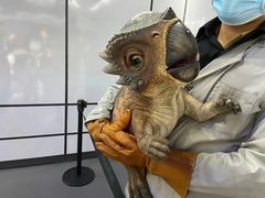 -东浩兰生上海世博展览馆