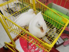 -利群商厦(台东店)