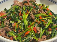 -壹盏灯(惠农店)