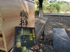-田园东方蜜桃村的田野营地