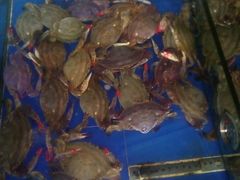 -山东八大碗山东老字号