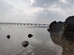 -南汇嘴观海公园