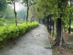 -广东花都香草世界旅游度假区