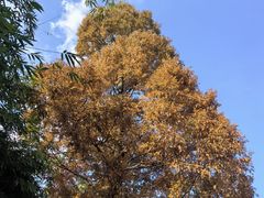 -贵阳市花溪国家城市湿地公园