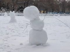 -东北师范大学(净月大街校区)