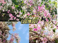 -深圳国际园林花卉博览园