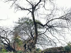-天台山景区