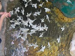 -杭州长乔极地海洋公园