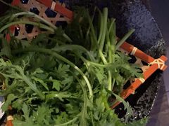 -湊湊火锅·茶憩(皇姑万象汇店)