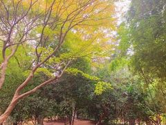 -商丘市人民公园