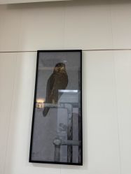 -AIST爱思特医疗美容医院