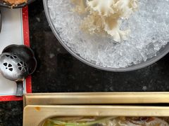 绣球菌-王家渡火锅店(棕榈泉店)