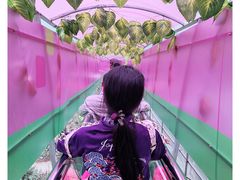 -牛鱼嘴原始生态风景区