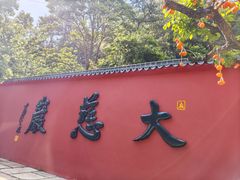 -大慈岩风景区