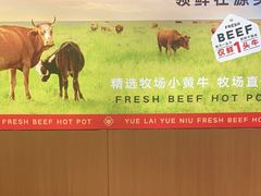 -宴全牛粤来越牛潮汕鲜牛肉火锅(海州万达广场店)