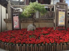 -上海醉白池公园