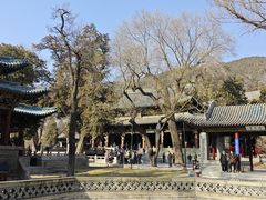 -晋祠公园