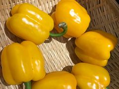 -千稻剁椒大鱼头(CityOn熙地港店)