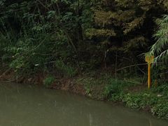 -白鹭湾湿地公园