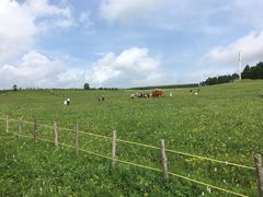 -塞罕坝国家级自然保护区