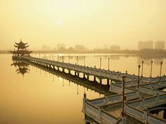 -苏浙总会(国金中心店)