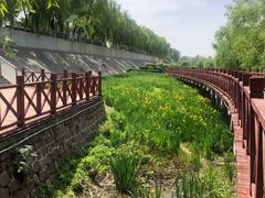 -沙澧河风景区