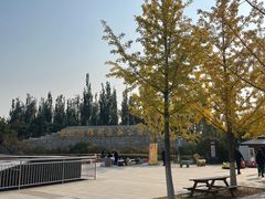 -永定河休闲森林公园